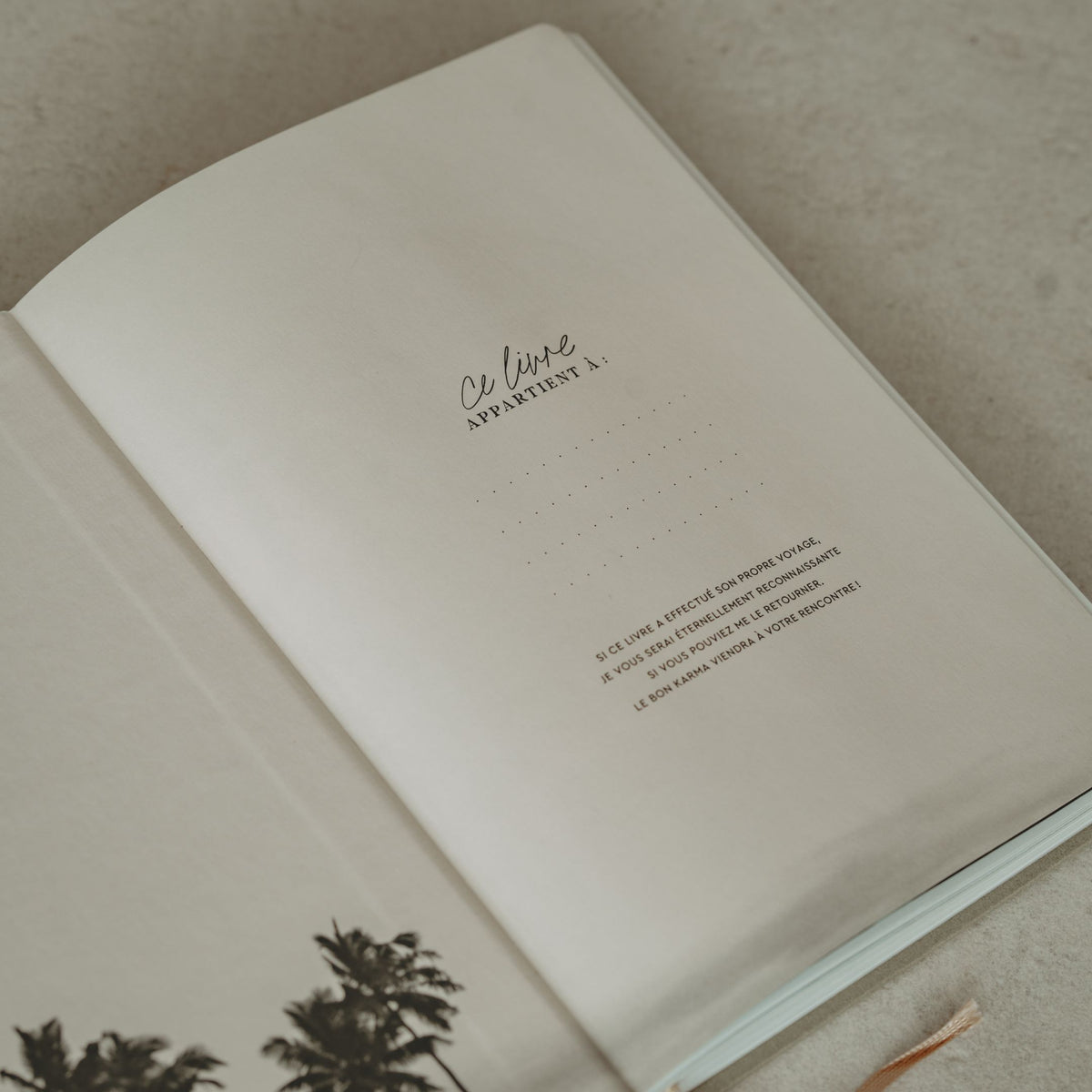 IMMERSION - Journal guidé